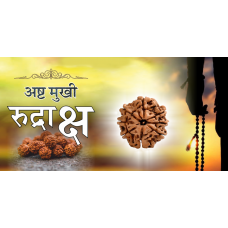 8 Mukhi Rudraksh (4.0)
